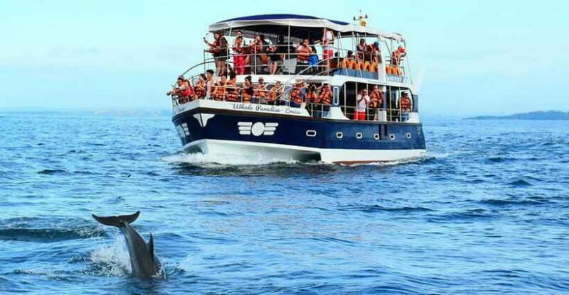Mirissa Whale Watching, Tour A Once-in-a-Lifetime Experience - Additional Attractions in Mirissa