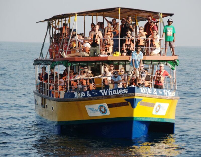 Mirissa Whale Watching Tour With Free Breakfast Onboard - Itinerary