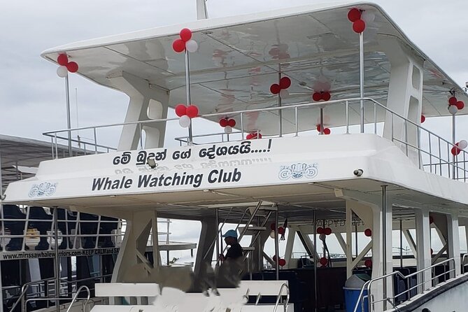 Mirissa Whale Watching Tour (Yacht) From Colombo With Breakfast - Key Points