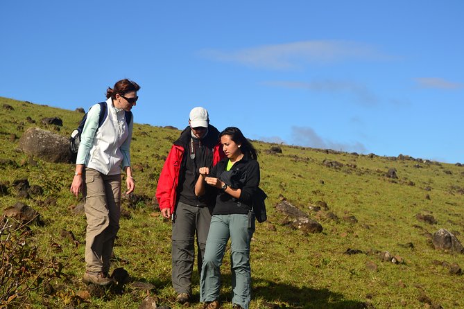 Miru: The North Coast Full Day Hike - Hike Overview