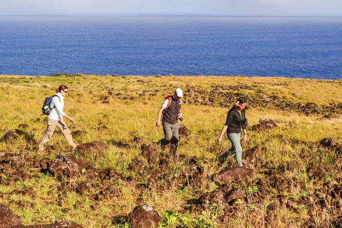 Miru: The North Coast Full Day Hike - Whats Included and Excluded