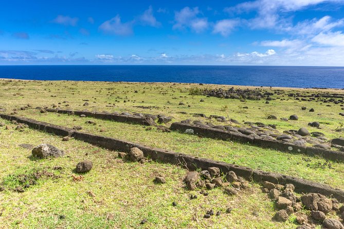Miru: The North Coast Full Day Hike - Picnic Lunch Halfway