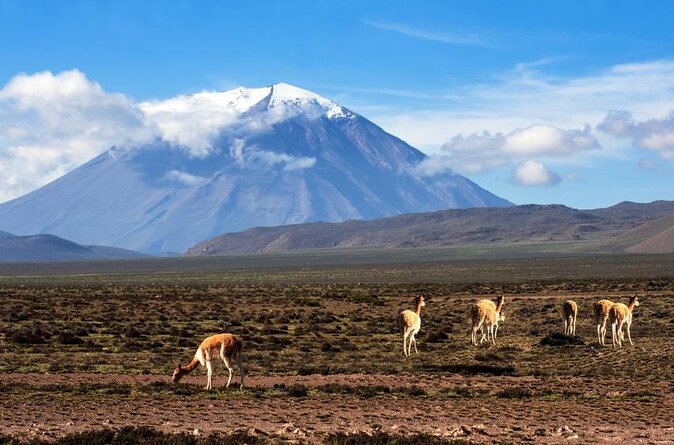 Misti Volcano 2-Day Climbing Trip - Key Points
