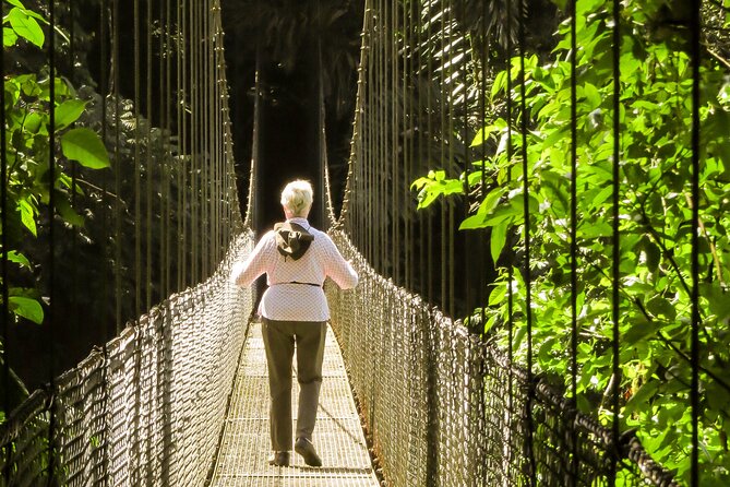 Mistico Arenal Hanging Bridges - Exploring the Hanging Bridges