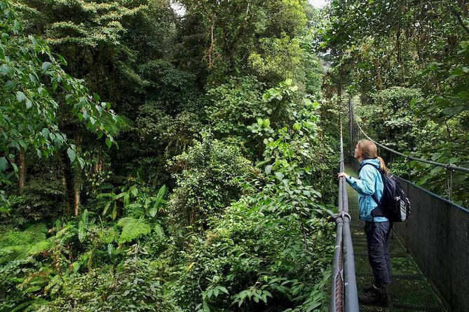 Mistico Arenal Hanging Bridges - Spotting Wildlife and Nature