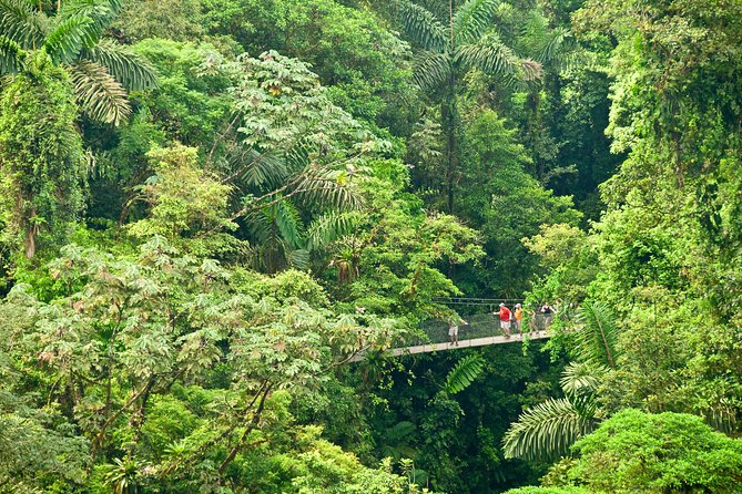 Mistico Hanging Bridges Admission Ticket - Ticket Details and Inclusions