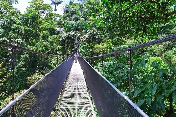 Mistico Hanging Bridges Admission Ticket - Cancelation Policy