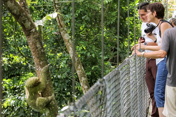 Mistico Hanging Bridges Admission Ticket - Accessibility Considerations