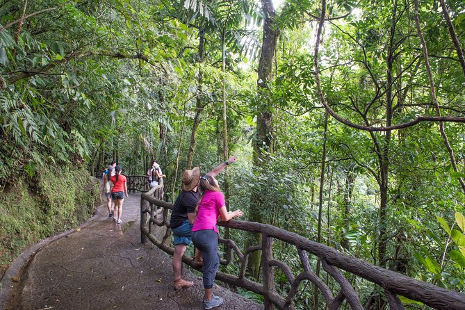 Mistico Hanging Bridges AM or PM - Location and Rating