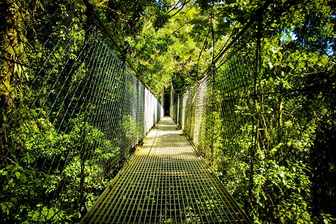 Mistico Hanging Bridges Park From La Fortuna - Location and Duration