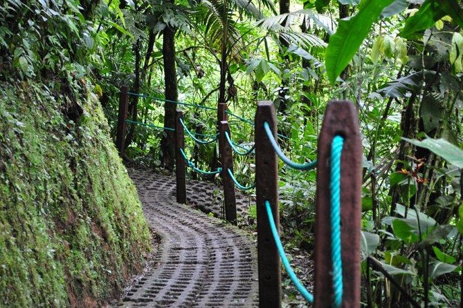 Mistico Hanging Bridges Park From La Fortuna - Inclusions and Logistics