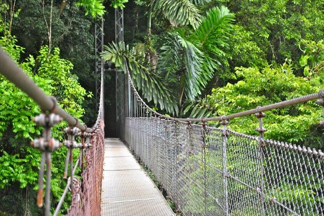Mistico Hanging Bridges Park From La Fortuna - Customer Feedback