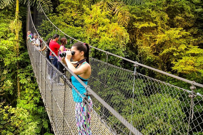 Mistico Hanging Bridges Tour With Lunch and Hotsprings - Highlights of the Tour