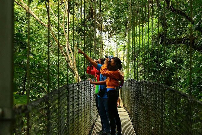 Mistico Hanging Bridges Tour With Lunch and Hotsprings - Tour Duration and Pickup