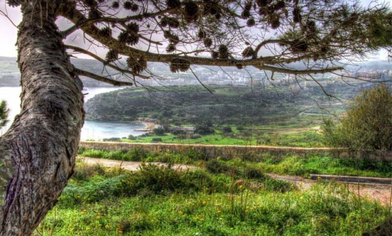 Mistra Valley and Selmun Private Nature Tour With Transport - Experience Highlights