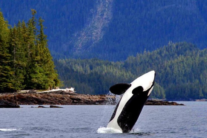 Misty Fjords Expedition - 6 Passenger Boat - Traveler Ratings and Feedback