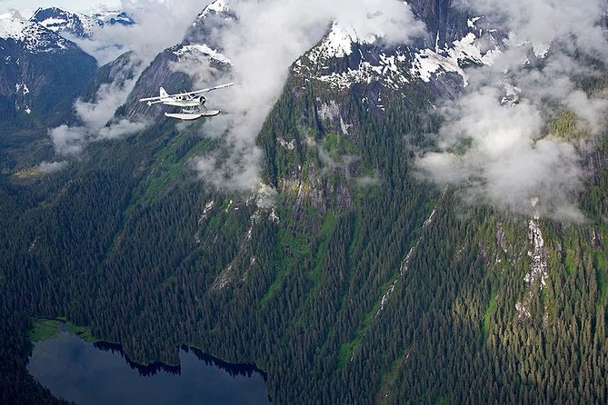 Misty Fjords Flight Tour - Cruise Ship Accessibility