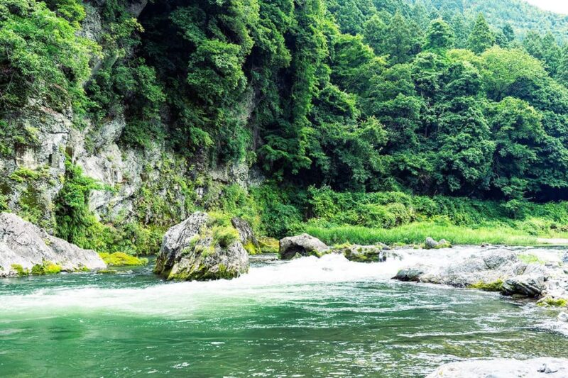 Mitake Ravine Hiking, Sake, and Art Tour - Gyokudo Art Museum