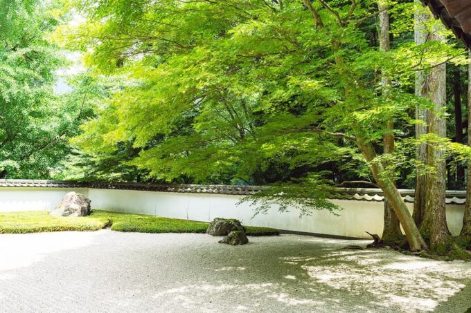 Mitake Ravine Hiking, Sake, and Art Tour - Who Is This Tour Not Suitable For?