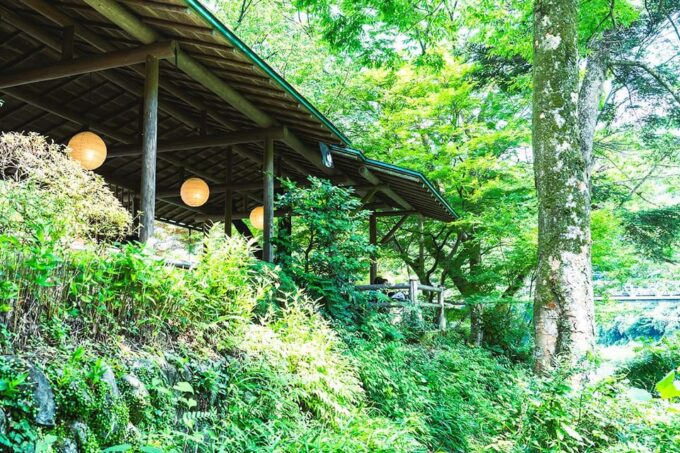 Mitake Ravine Hiking, Sake, and Art Tour - Frequently Asked Questions