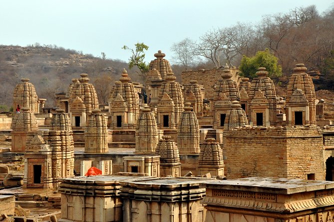 Mitawali, Padawali & Bateshwar Temple (Day Excursion From Gwalior) - Highlights of Mitawali Temple