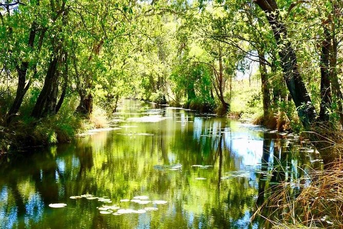 Mitchell Falls Tour - Mitchell Falls, Horizontal Falls & Cygnet Bay - Additional Information