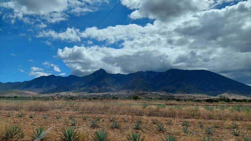 Mitla: Bike Tour to the Archaeological Zone and Caves with Rock Art - Practical Aspects and What to Bring
