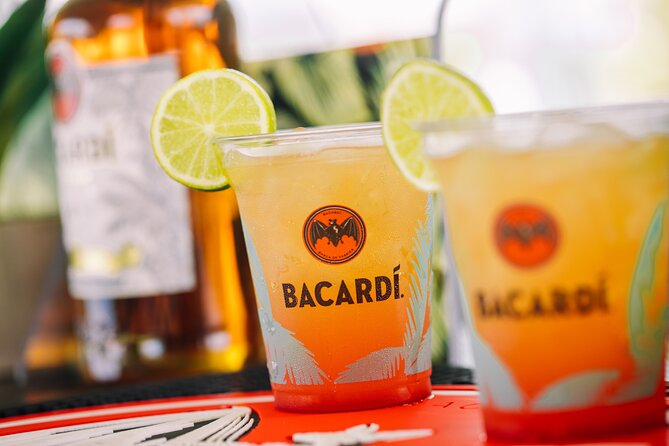 Mixology Class at Casa BacardÍ in Puerto Rico - Accessibility and Amenities