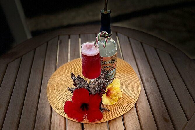 Mixology Class in Bridgetown 10 Minutes from Cruise Terminal - FAQ