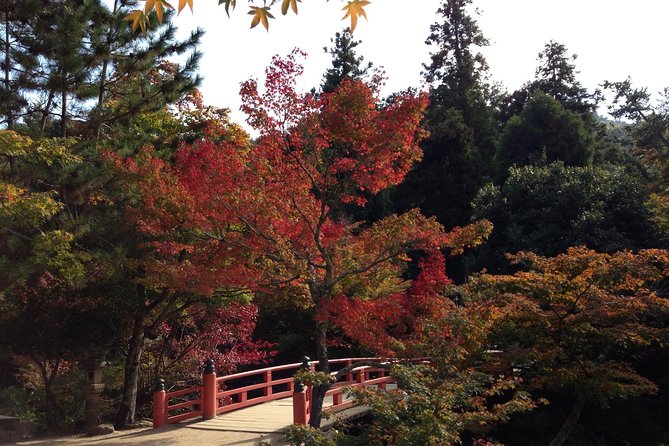 Miyajima Full Day Tour - Inclusions and Exclusions