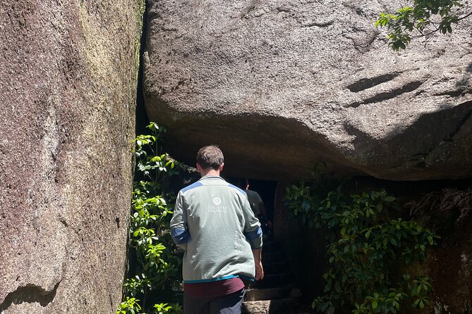 Miyajima Half-Day Private Experience With a Local - Exceptional Guide Quality and Personalized Experiences