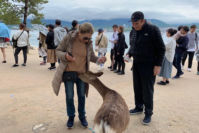 Miyajima Half-Day Private Tour With Government Licensed Guide - Whats Included in the Tour