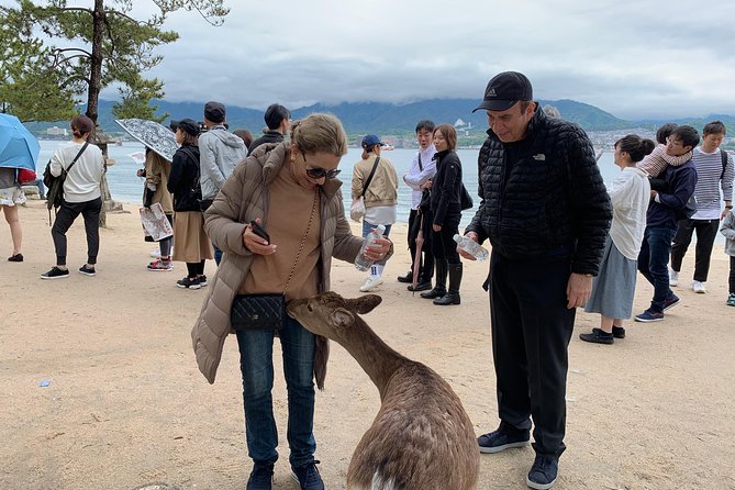 Miyajima Half-Day Private Tour With Government Licensed Guide - Cancellation Policy for the Tour