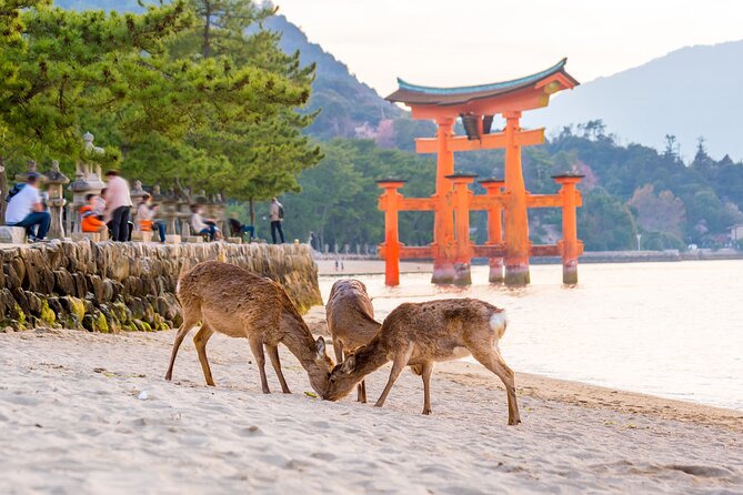 Miyajima Island Day Tour in Sacred Sites and Mount Misen - Meeting and Pickup