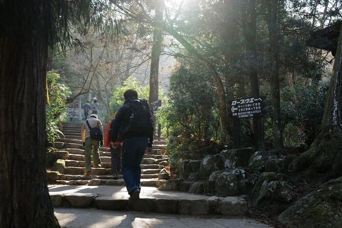 Miyajima Island Tour With Certified Local Guide - Guided Exploration