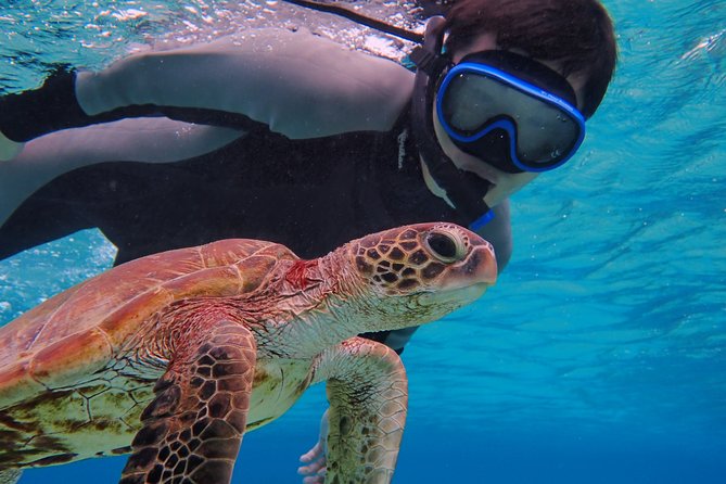 [Miyako] Great View Beach Stand-Up Paddleboarding/Canoeing & Sea Turtle Snorkeling! - Key Points