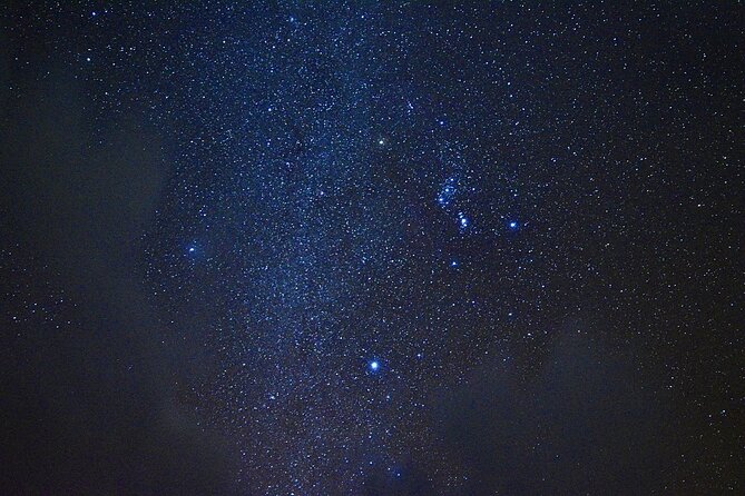 Miyako Island Jungle Night Tour and Starry Sky Viewing - Health and Safety Information