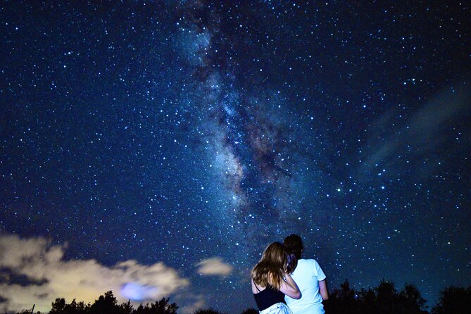 Miyako Island Jungle Night Tour and Starry Sky Viewing - Exploring the Miyako Island Jungle at Night