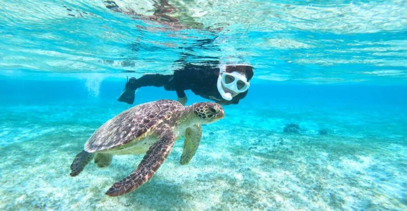 Miyako Island: Kayaking and Snorkeling Experience - Participation Requirements