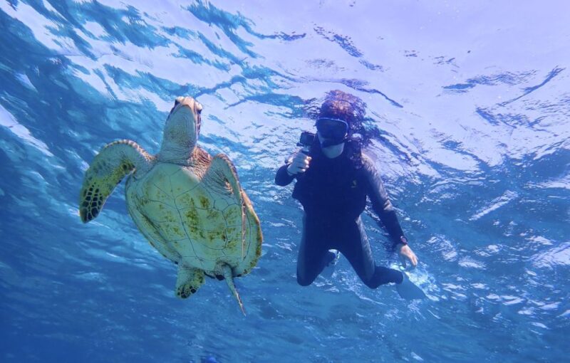 Miyako Island: Kayaking and Snorkeling Experience - Kayaking and Snorkeling Activities