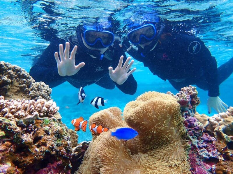 Miyako Island: Pumpkin Limestone Caving & Snorkeling - Safety Gear and Wetsuit