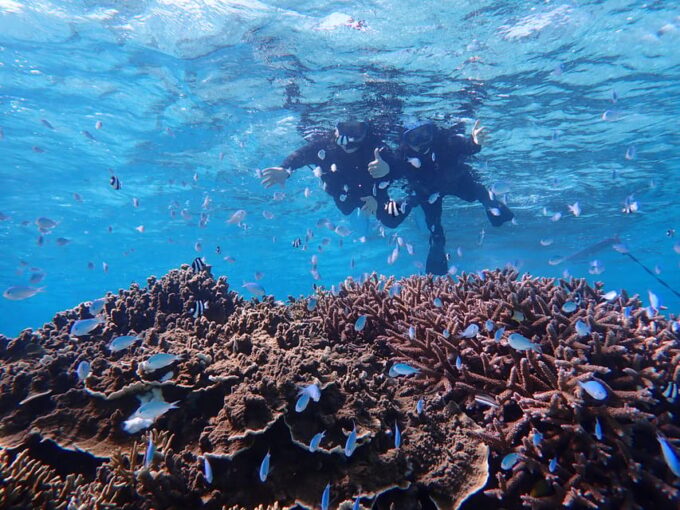 Miyako Island: Pumpkin Limestone Caving & Snorkeling - Frequently Asked Questions