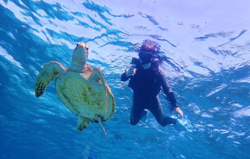 Miyako Island: Sea Turtle Snorkeling Tour - Participant Restrictions