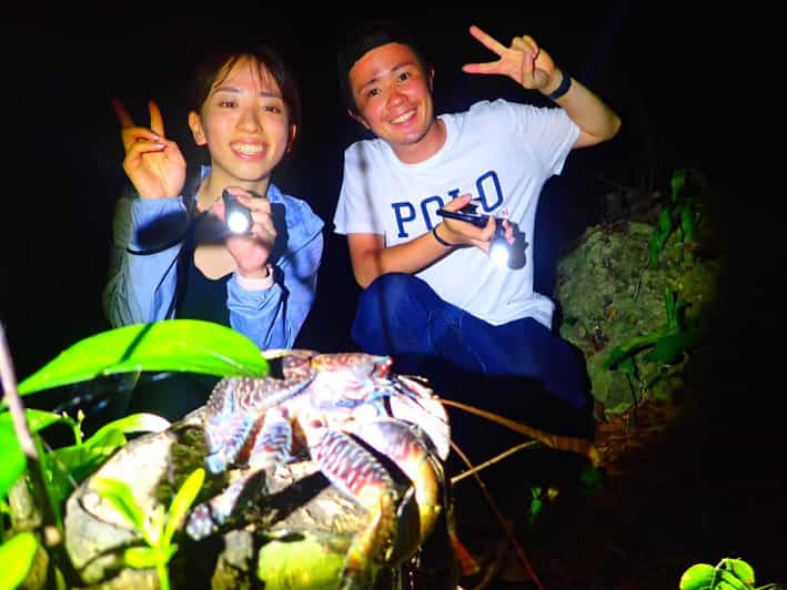 Miyako Island: Stars & Jungle Night Walking Tour - Inclusions