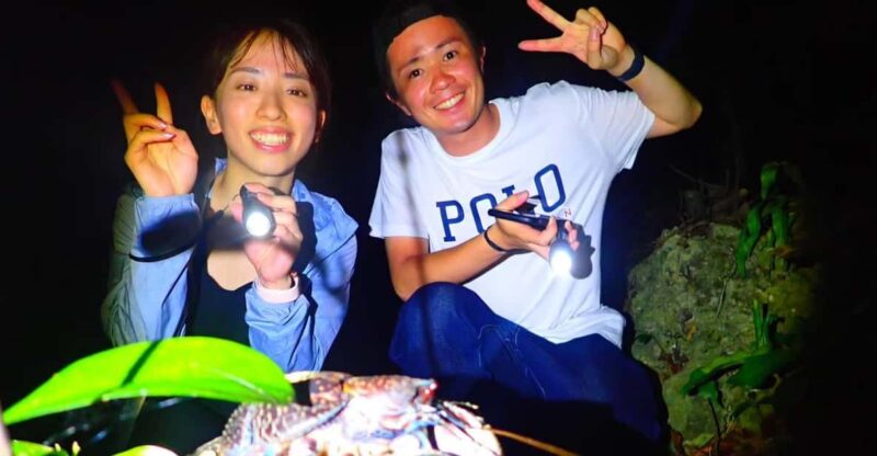 Miyako Island: Stars & Jungle Night Walking Tour - Exclusions