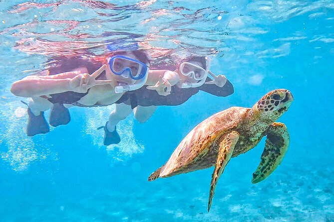 Miyako Two Activities in Half Day: SUP and Sea Turtle Snorkeling - Key Points