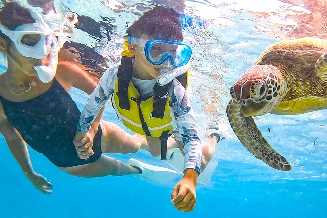 Miyako Two Activities in Half Day: SUP and Sea Turtle Snorkeling - Exploring the Turquoise Waters