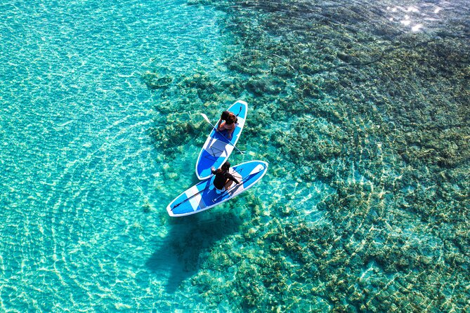 Miyako Two Activities in Half Day: SUP and Sea Turtle Snorkeling - Gear and Equipment Provided