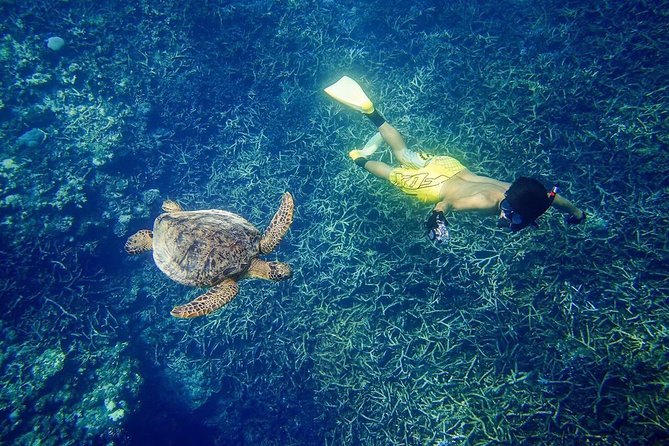 Miyakojima, Diving Experience: Suitable for Groups of 2 or More People. You May Sometimes See Sea Turtles and Sharks. Madaratobiei (A Type of Fish) Can Also Be Spotted. Skin Diving at Deeper Points Is Possible - Skin Diving at Deeper Points