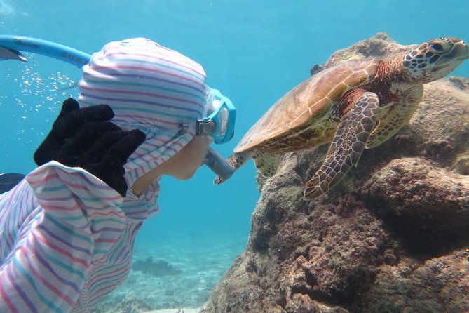 [Miyakojima Snorkel] Private Tour From 2 People Lets Look for Sea Turtles! Snorkel Tour That Can Be Enjoyed From 3 Years Old - Cancellation Policy
